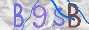 CAPTCHA 驗證圖片