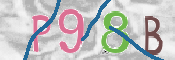 CAPTCHA 驗證圖片