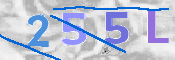 CAPTCHA 驗證圖片