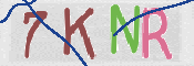 CAPTCHA 驗證圖片