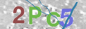 CAPTCHA 驗證圖片