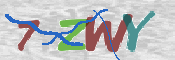 CAPTCHA 驗證圖片