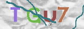 CAPTCHA 驗證圖片