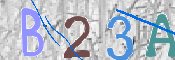 CAPTCHA 驗證圖片