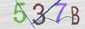 CAPTCHA 驗證圖片