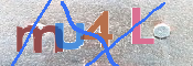 CAPTCHA 驗證圖片