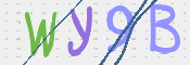CAPTCHA 驗證圖片