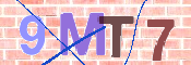 CAPTCHA 驗證圖片