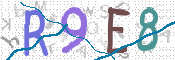 CAPTCHA 驗證圖片