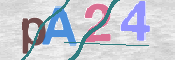 CAPTCHA 驗證圖片