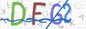 CAPTCHA 驗證圖片