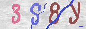 CAPTCHA 驗證圖片