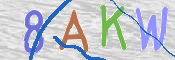 CAPTCHA 驗證圖片