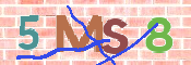 CAPTCHA 驗證圖片