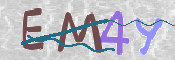 CAPTCHA 驗證圖片