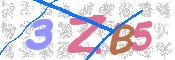CAPTCHA 驗證圖片