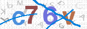 CAPTCHA 驗證圖片