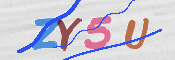 CAPTCHA 驗證圖片