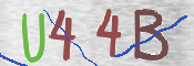 CAPTCHA 驗證圖片