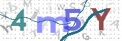 CAPTCHA 驗證圖片