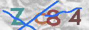CAPTCHA 驗證圖片