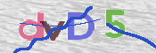 CAPTCHA 驗證圖片