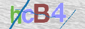 CAPTCHA 驗證圖片