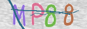 CAPTCHA 驗證圖片