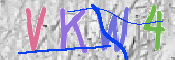 CAPTCHA 驗證圖片