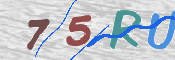 CAPTCHA 驗證圖片