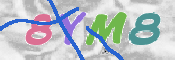 CAPTCHA 驗證圖片