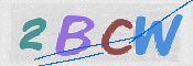 CAPTCHA 驗證圖片
