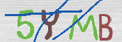 CAPTCHA 驗證圖片