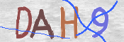 CAPTCHA 驗證圖片