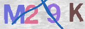 CAPTCHA 驗證圖片