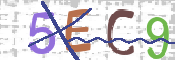 CAPTCHA 驗證圖片