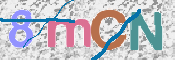 CAPTCHA 驗證圖片