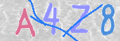 CAPTCHA 驗證圖片