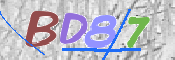 CAPTCHA 驗證圖片
