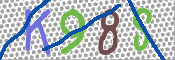 CAPTCHA 驗證圖片