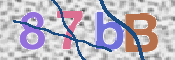 CAPTCHA 驗證圖片