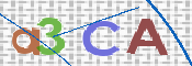 CAPTCHA 驗證圖片