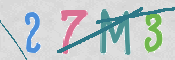 CAPTCHA 驗證圖片