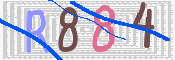CAPTCHA 驗證圖片