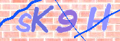 CAPTCHA 驗證圖片
