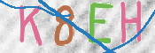 CAPTCHA 驗證圖片