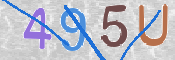CAPTCHA 驗證圖片