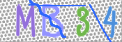 CAPTCHA 驗證圖片