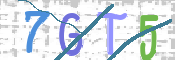 CAPTCHA 驗證圖片