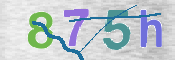 CAPTCHA 驗證圖片
